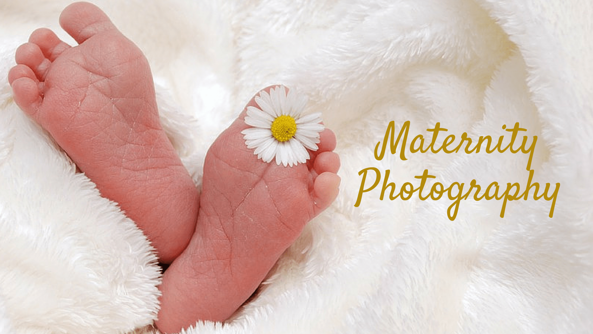 maternity photography