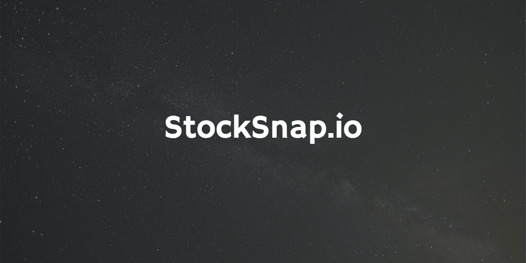 StockSnap.io-min